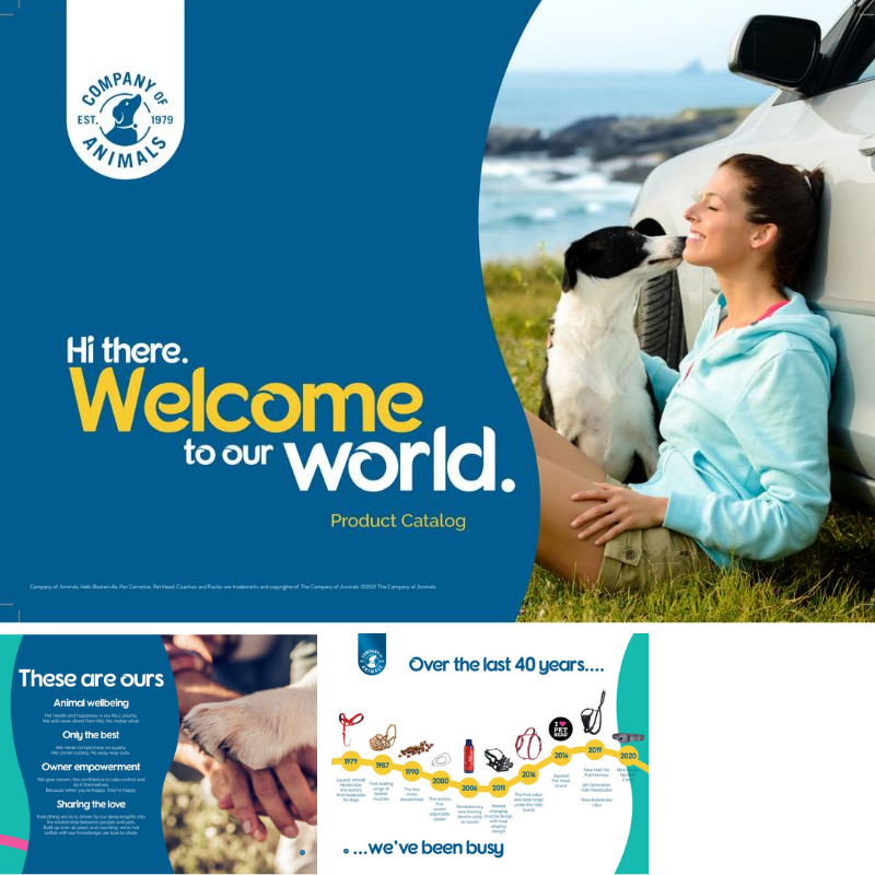 Company of Animals collage of recent work.