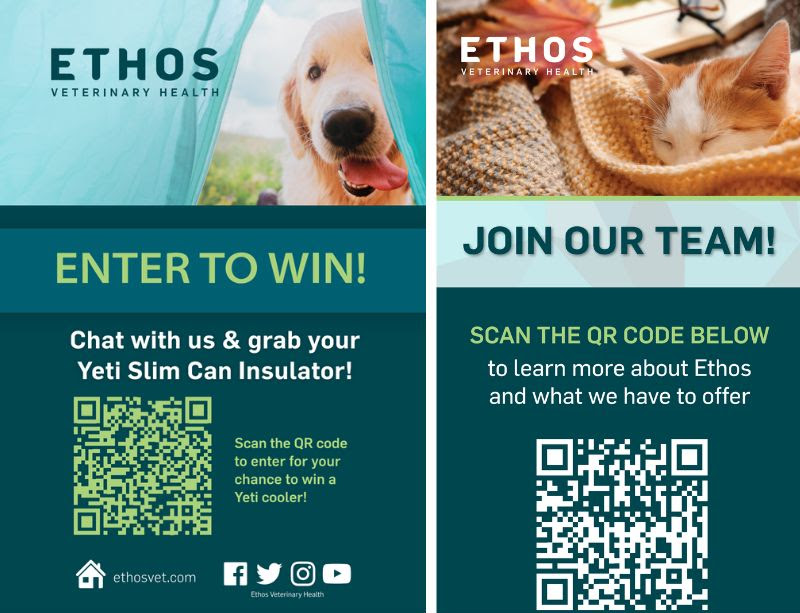 Ethos collage of work.