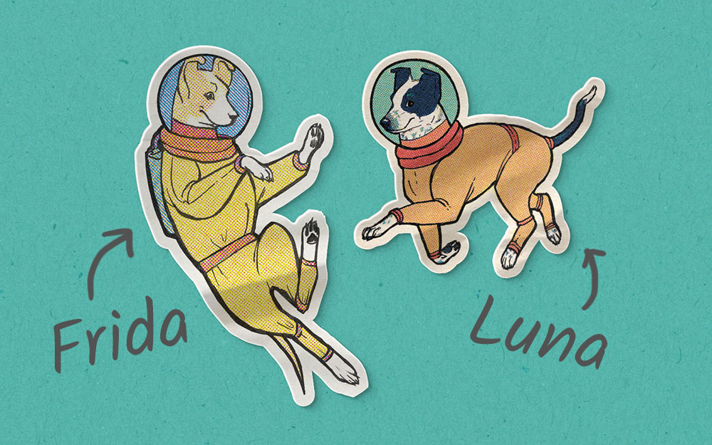 Two die-cut, illustrated, YellowDog-designed stickers depicting dogs in space suits on a teal background. The dogs are identified with the names Frida and Luna.
