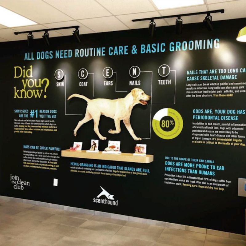 Scenthound wall mural.