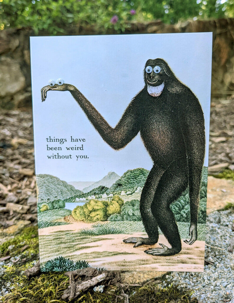 greeting card that says "things have been weird without you" featuring an old scientific illustration of an ape with googly eyes