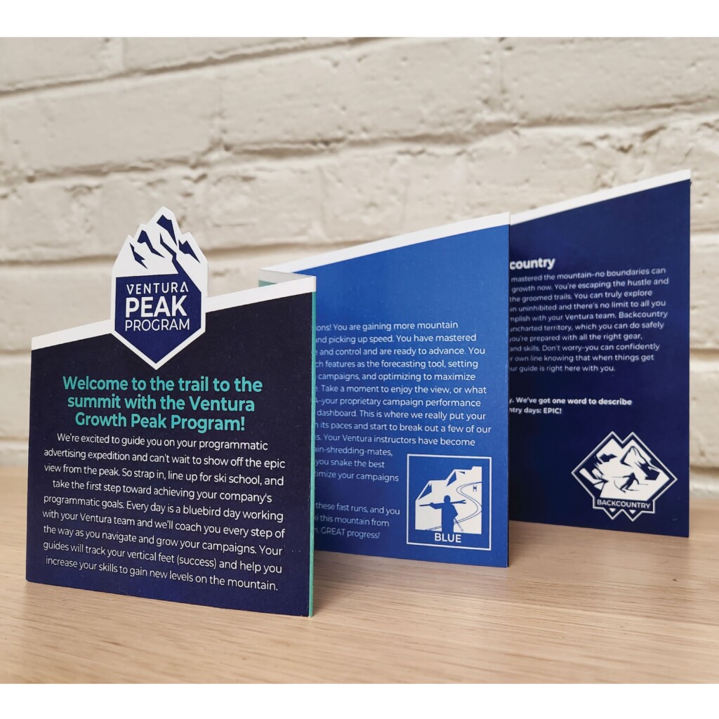 A three-dimensional, folded brochure is pictured on a wooden surface. The top of the brochure is die-cut on a diagonal, and the front cover features a die-cut set of three mountains.