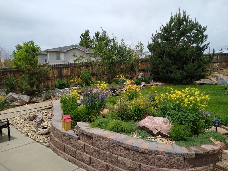 pears to perennials xeric garden