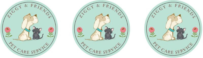 Ziggy and Friends collage of work.