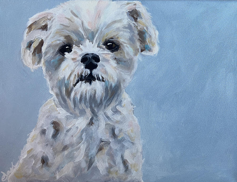 tasha rae dog portraits