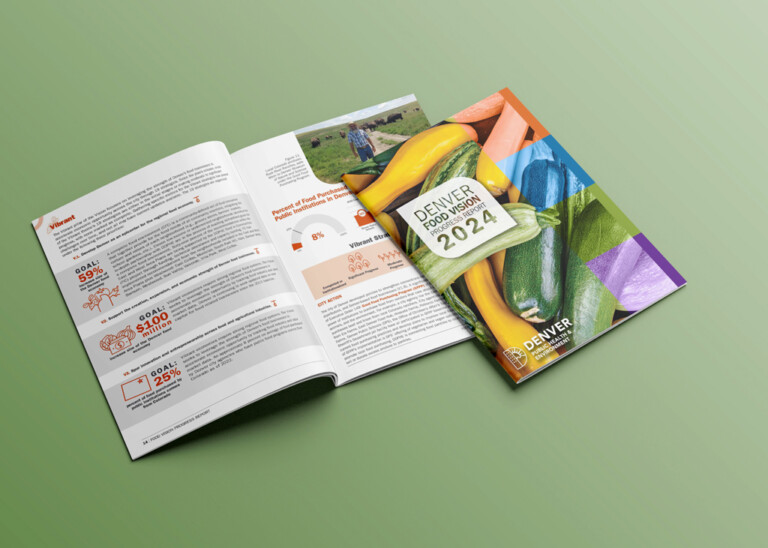 Denver Food Vision report for Colorado Department of Health and Environment