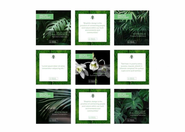 Social media templates for Advanced Autoponics from YellowDog