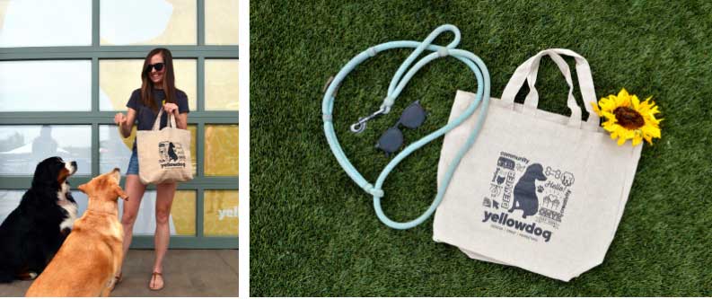 Image collage. Person feeds a treat to two attentive dogs. Closeup of tote bag with treats on grass.