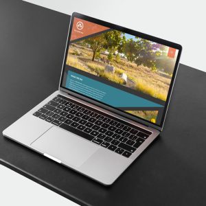 Web design for Valerian Landscape Architecture