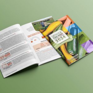 Denver Food Vision report for Colorado Department of Health and Environment