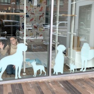 Win dow graphics for MoVet